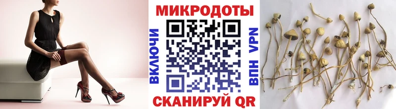 Псилоцибиновые грибы Psilocybine cubensis  Кирово-Чепецк 
