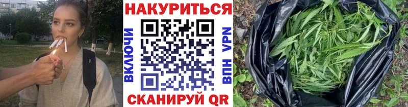 Бошки марихуана сатива  Кирово-Чепецк 